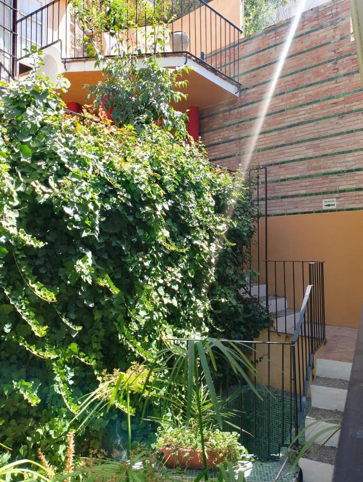 Casa Rural Plaza De Santa Maria Cazorla Εξωτερικό φωτογραφία